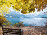 autumn lake Zell am See