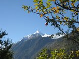 Einsamer Apfel mit Blick zum Kitzsteinhorn