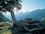 Wandern in unserer Region