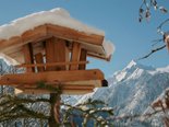 Ausblick vom Appartement Christine