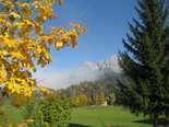 Herbststimmung
